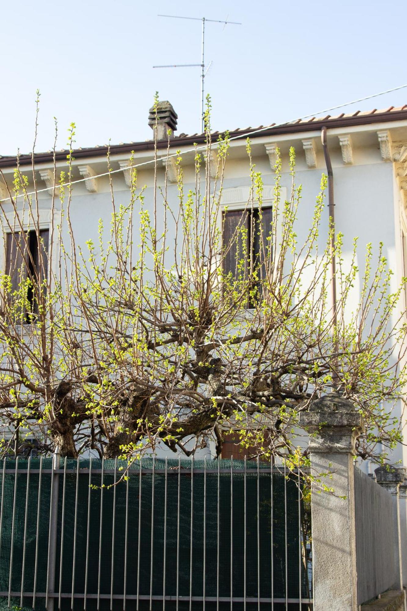 Verona Nest Екстер'єр фото